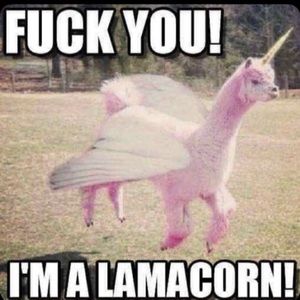 Meet your Posher, Tannya